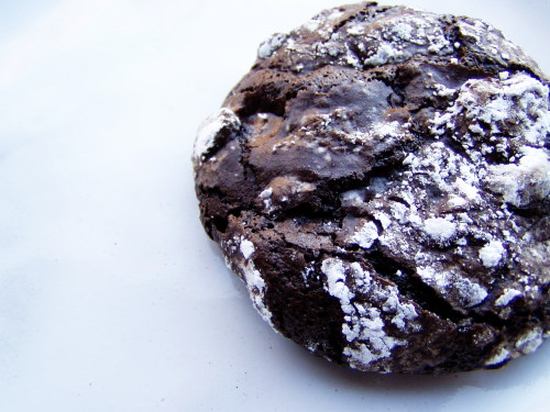 chocolate-cookie-closeup-small