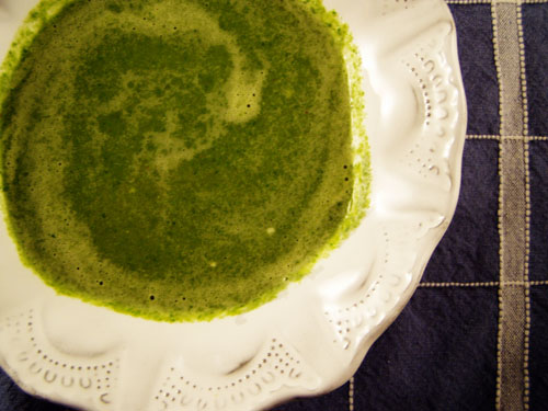 Cream of spinach soup recipes