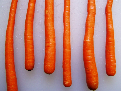 carrots-small