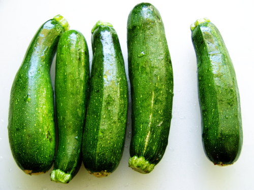 zucchini-small