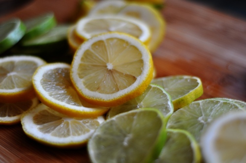 sliced-citrus-ss
