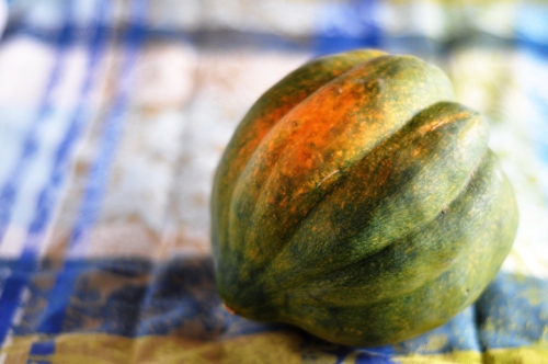 acorn-squash-whole-ss